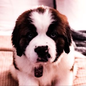 Meet your Posher, Scott